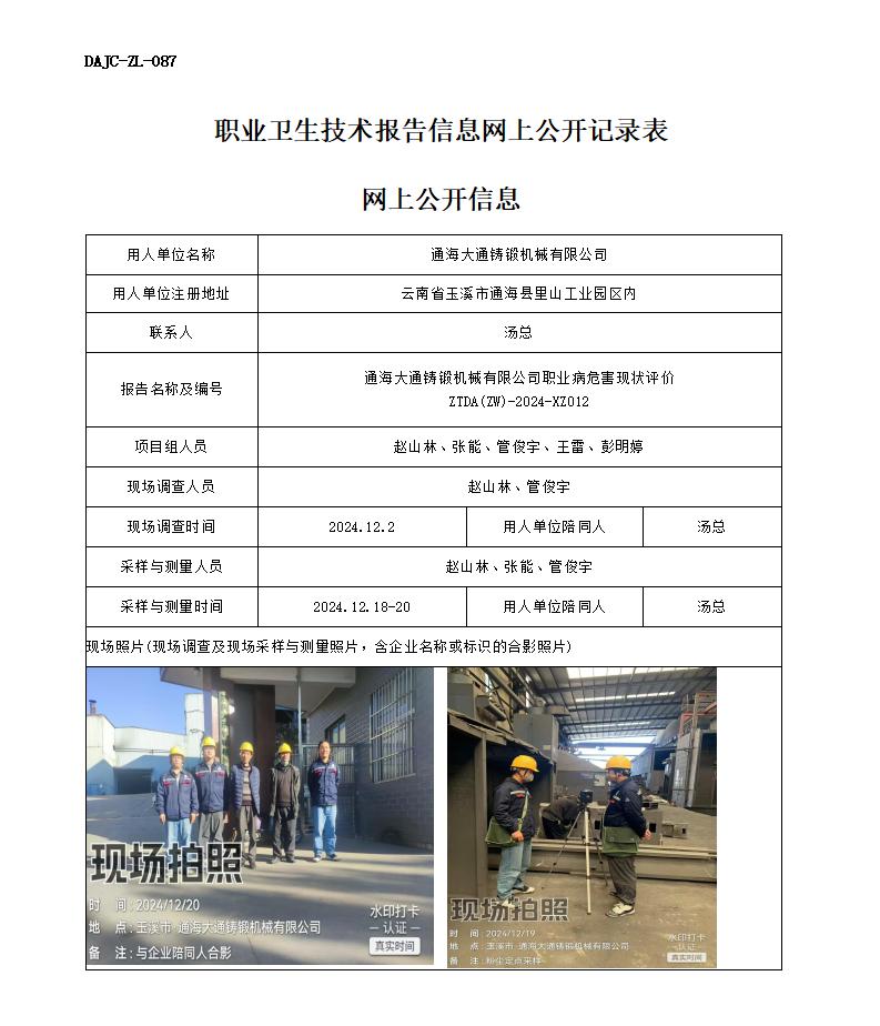 XZ012--大通-職業(yè)病危害現(xiàn)狀評價(jià)網(wǎng)上公開信息_01.jpg